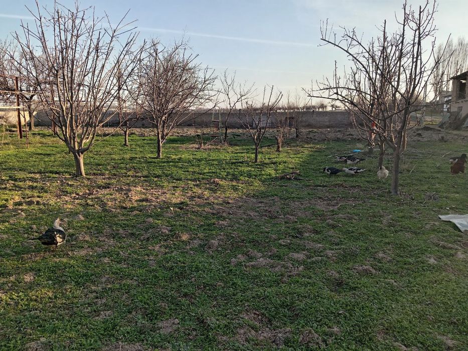 Продам землю в нурафшоне