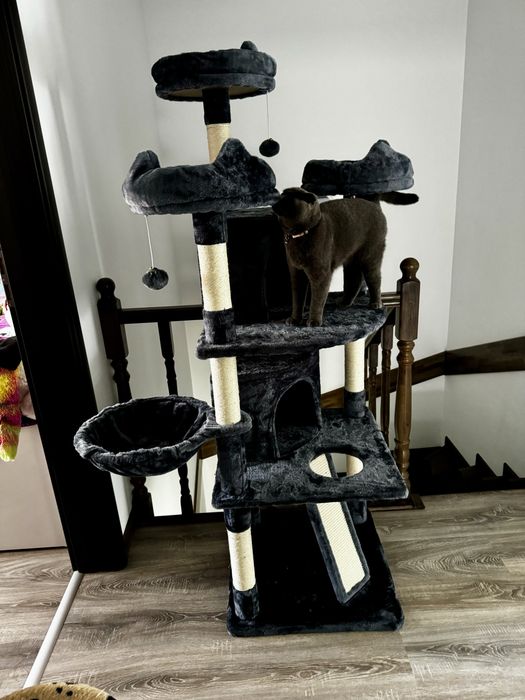 Andamblu de joaca pentru pisici nou