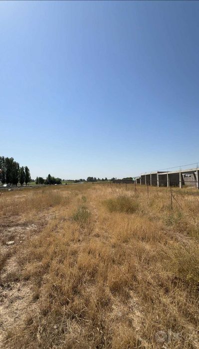 Срочно продается земля 1.16 Га под бизнес первая линия трасса М-39