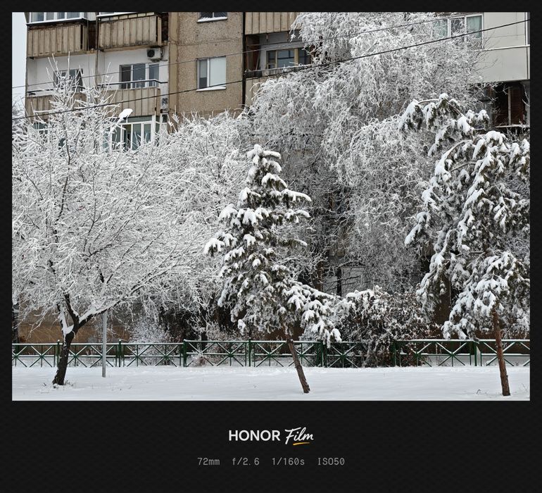 Honor Magic 8 12/256GB CN