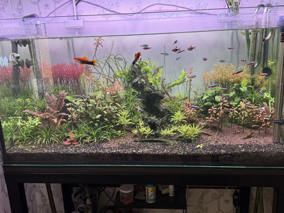 Аквариум 90х45х45