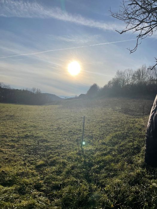 Vând teren 4200 mp ideal pt casa de vacanta  în Varciorog