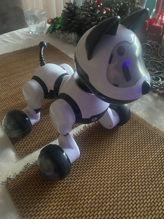 Интер активно куче с дистанционно