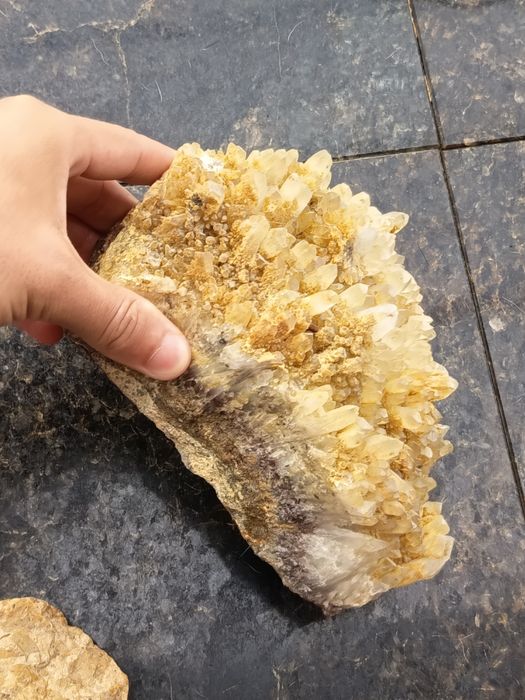 Se vinde Roca Cu Fosile Marine & Cluster De Citrin