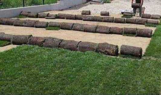 Gazon Rulou, Sisteme de irigare