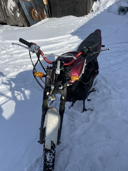 Рейсер тигр 150 кубов