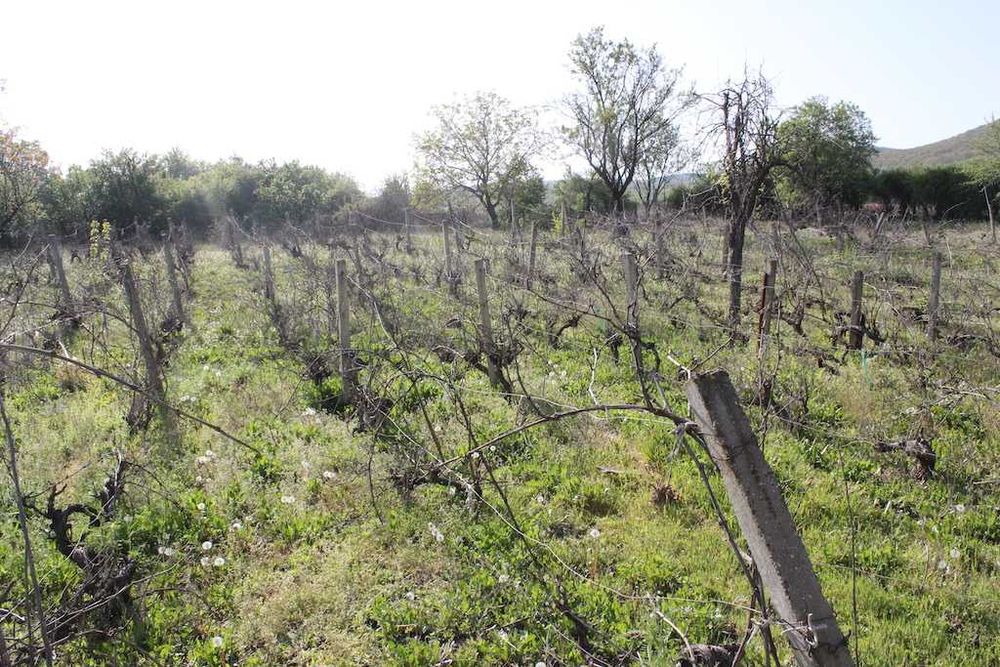 Продава се Парцел в с. Горица, Област Бургас - 1980 кв.м за 19 €/кв.м - Снимка #10