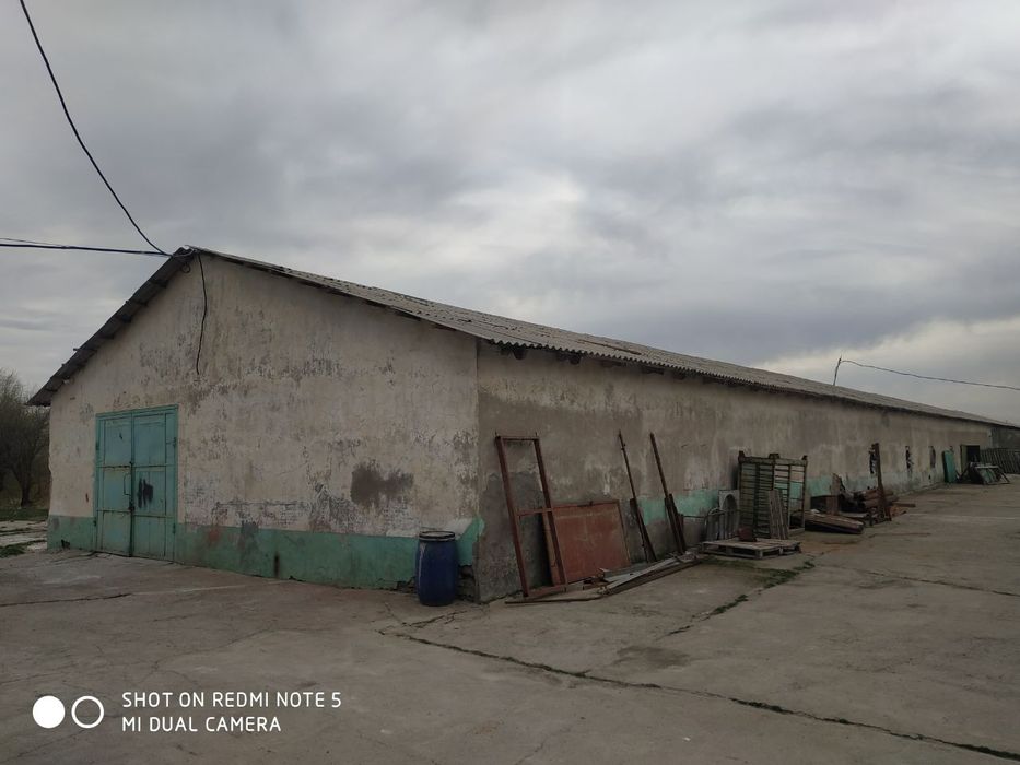 Нежелой ер сотилади Кибрай Байткургое