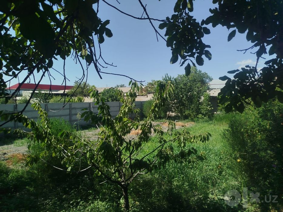 Xovli Shahar atrofida
