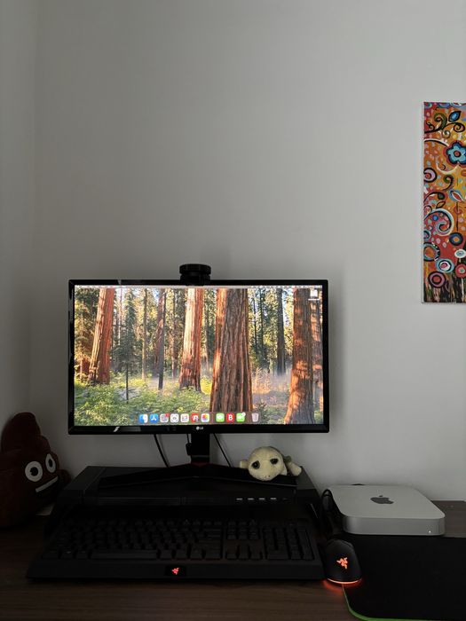 Monitor Gaming LG