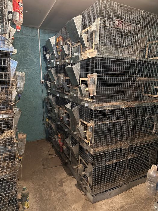 Продам клетки для животных