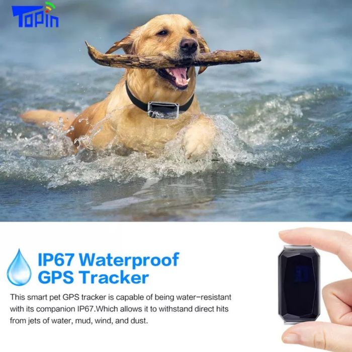 GPS-тракер с безплатно онлайн проследяване на кози овце кучета и др.