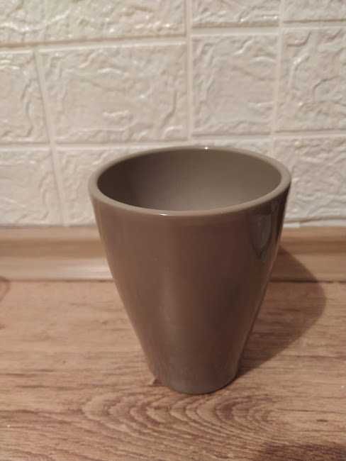 9  стайни   растения + отстъпка и подарък