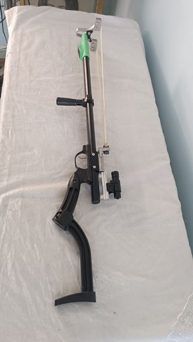 Ragatka qushlarni ajali