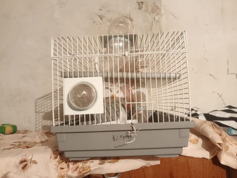 Продам клетку для хомяков