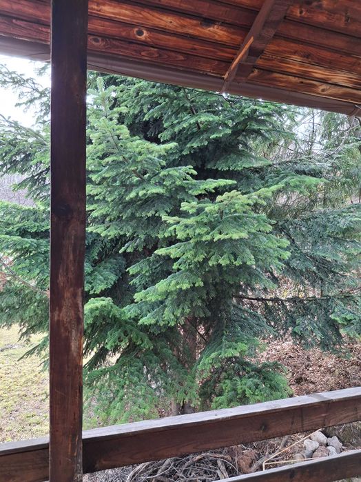 Casa de inchiriat Revelion Breaza