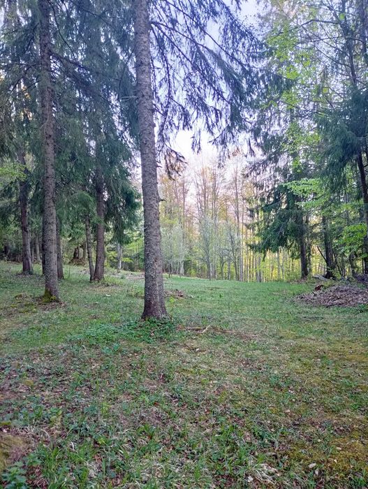 Vând teren în comuna Gârda de Sus