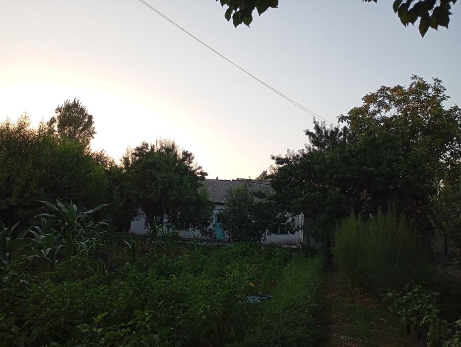 40 сотикли 2 уй сотилади газ свет ичимлики су  бор екин жой 20 сотик