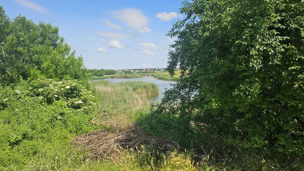 Vand teren In Comuna petrechioaia , sat surlari