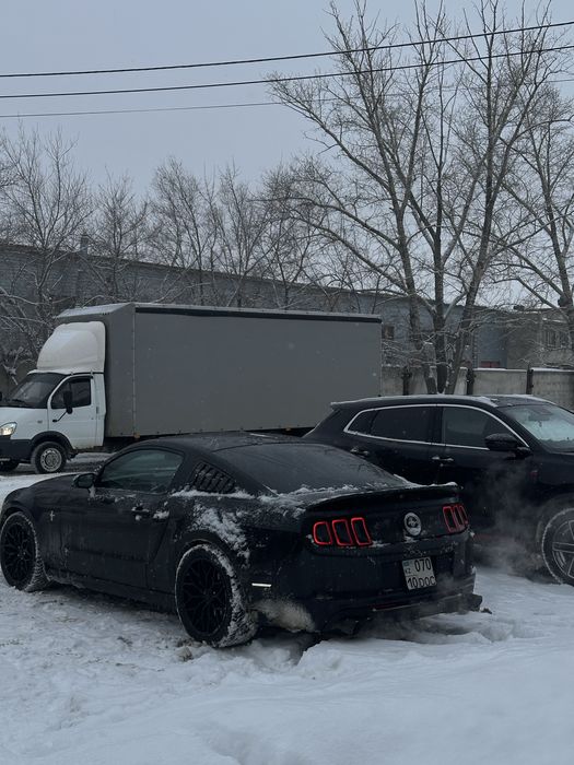 Ford Mustang V series