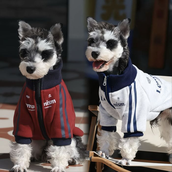 Одежда для животных