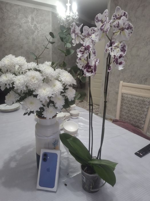 Айфон 16 в коробке новый