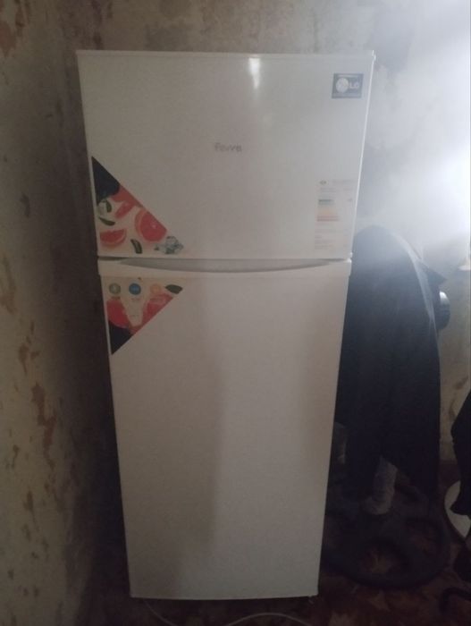 Muzlatgich xoladilnik Ferre karopk dokument bor