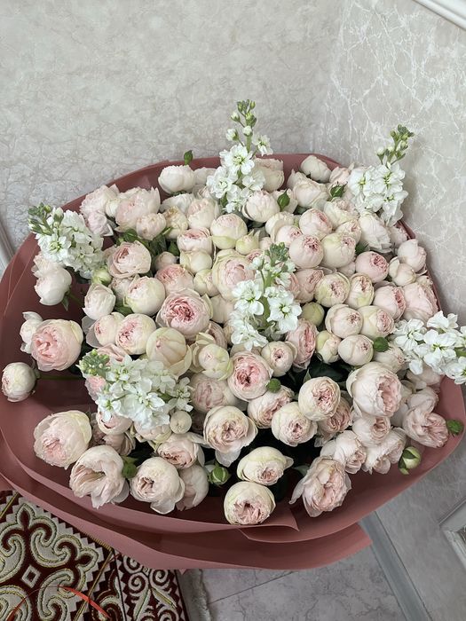 Цветы пионы купить