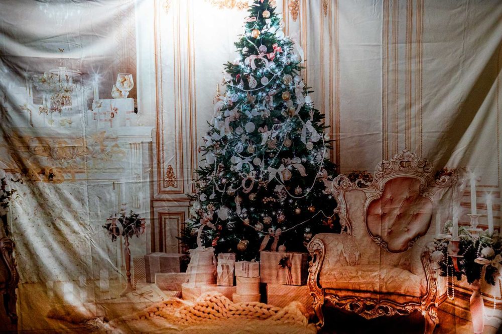 Коледни и други фонове 5 броя за 80 лв.