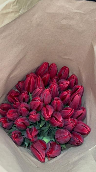 Тюльпаны оптом и в розницу