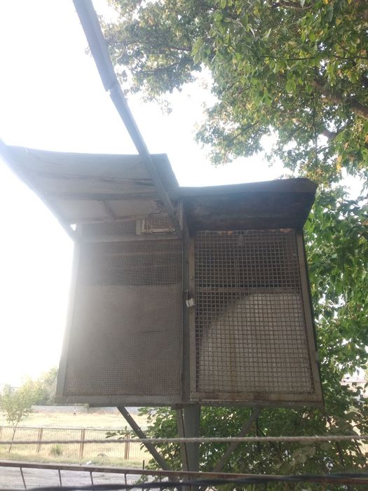 Продается Голубятник