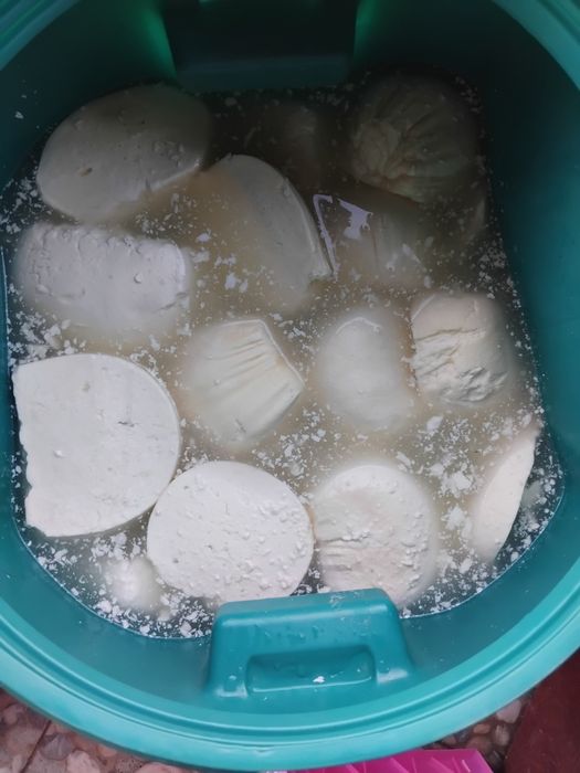 Brânză de vaca Albeni județul Gorj