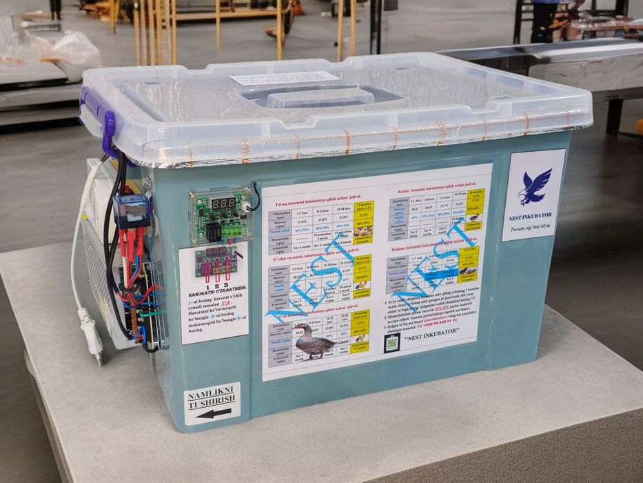 Nest Inkubator     .