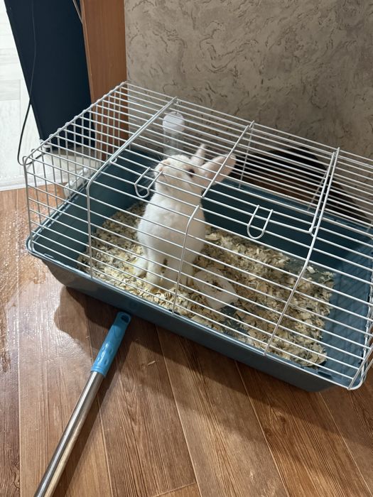 Порадуйте своих деток