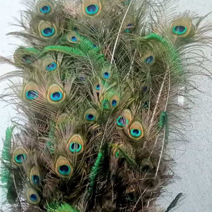 Продаётся перья павлина