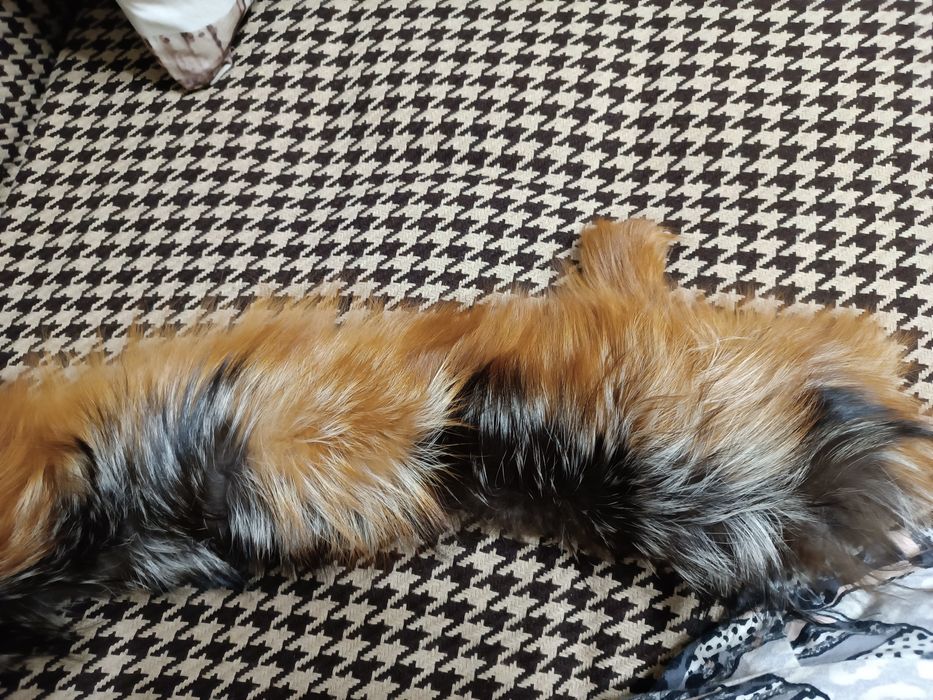 Воротник натуральный за 5000