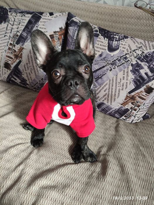 Вязка Бесплатно.