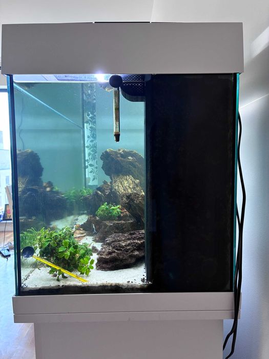 Vând Acvariu Juwel Rio 180L Complet — Aquascape Premium