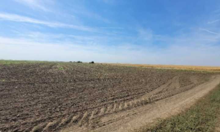 Земеделски земи -нива