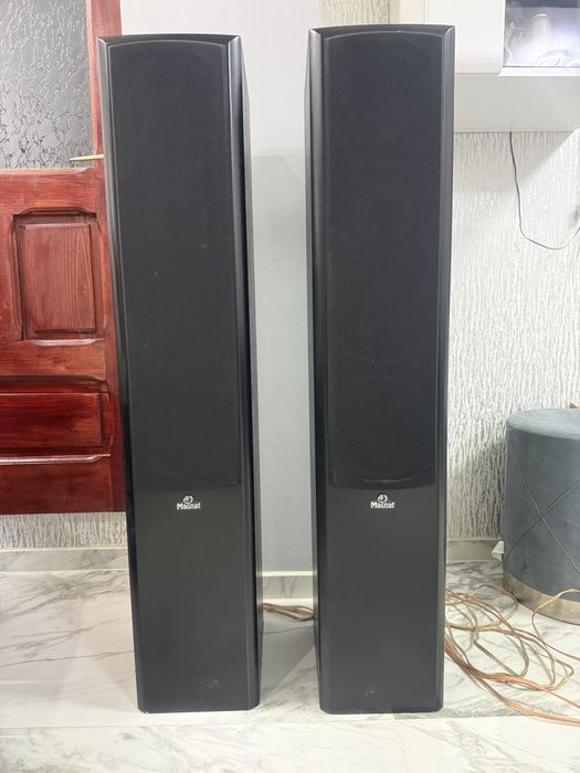 Boxe Magnat /Eltax ,amplificatoare