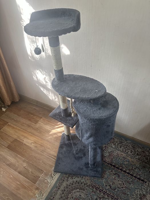 Кошачий домик