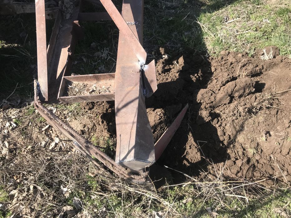 Садовый баковой арешник