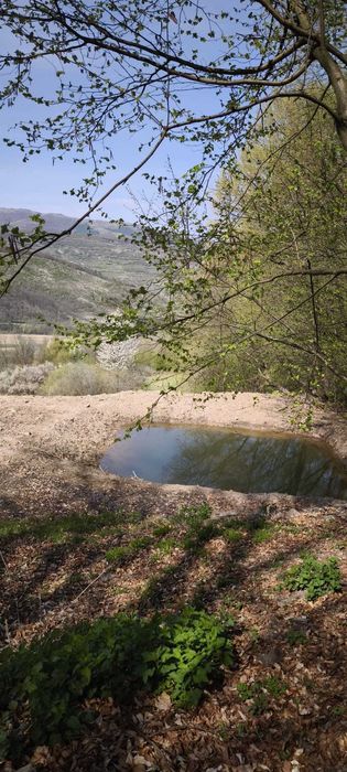 Teren, Zona Meteș