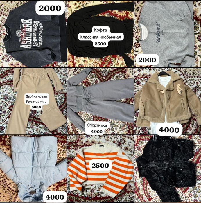 Женские брюки , свитшоты, кофты