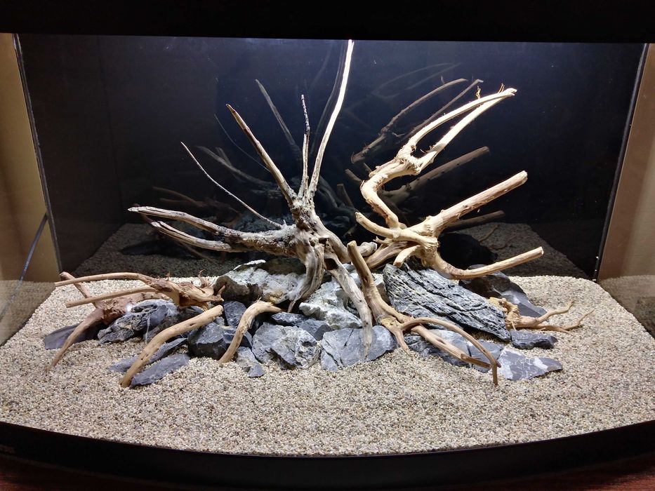 Аквариум Diversa