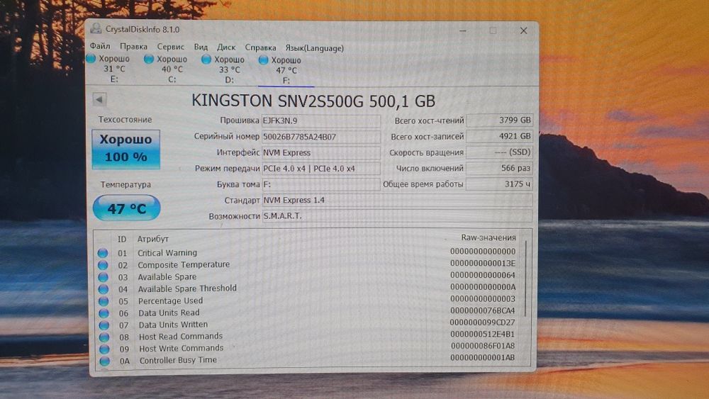 Kingston SNV2S500G 500Gb NVMe