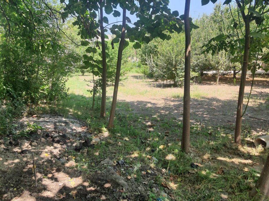 Занги ота туманида ер сотлади