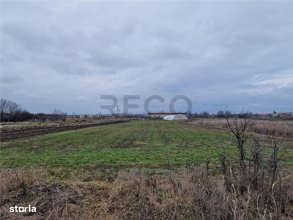 Teren intravilan in Bors cu front mare