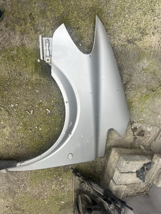 aripa stanga vito 2007