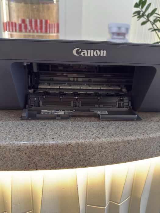Принтер Canon pixma MG2541S